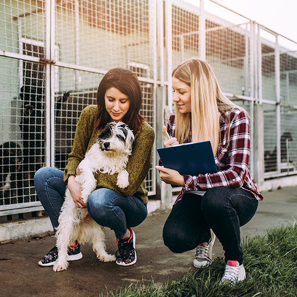 Industry_nonprofit_thumbnails-3